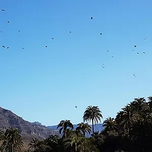 Finca Laxmi , Fátaga España